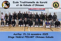 Stage fédéral à Aurillac (11/25)