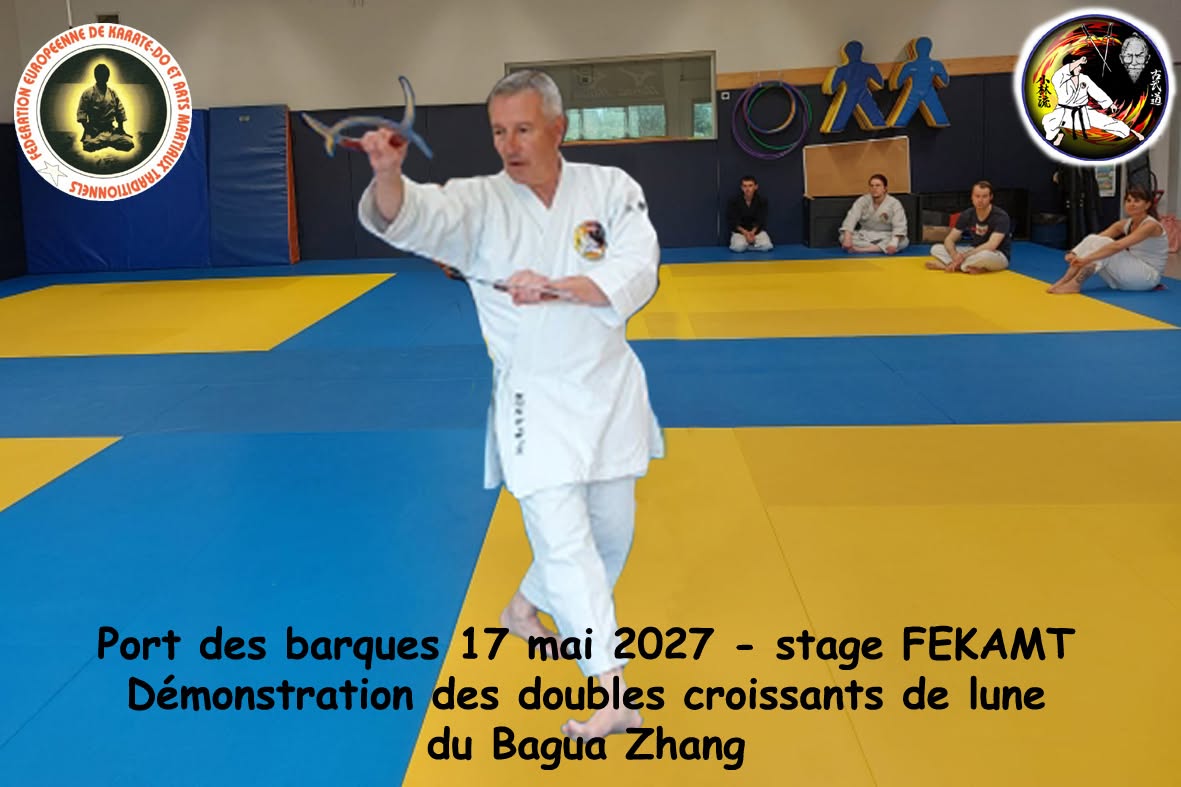 Démonstration des doubles croissants de lune du Bagua Zhang